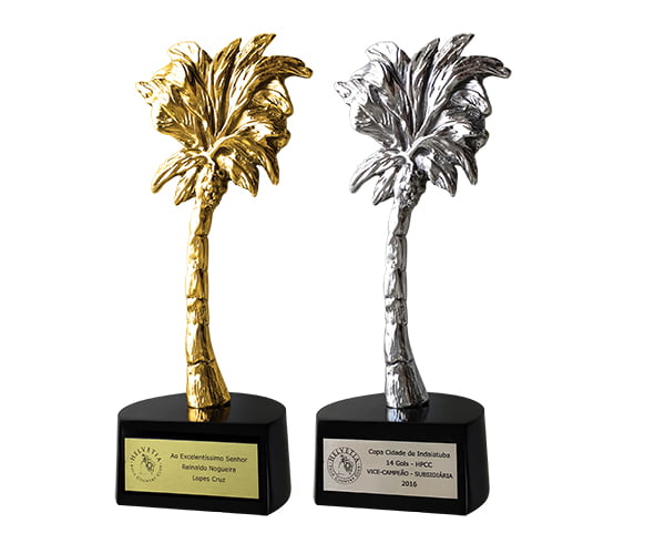 Troféu Indaiatuba – Palmeira Indaiá