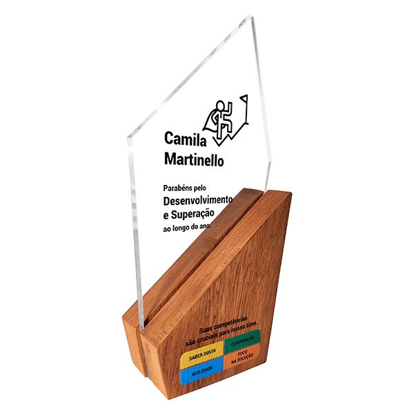 TROFÉU PERSONALIZADO PARA TODO TIPO DE HOMENAGEM