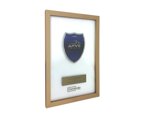 Placa APVS