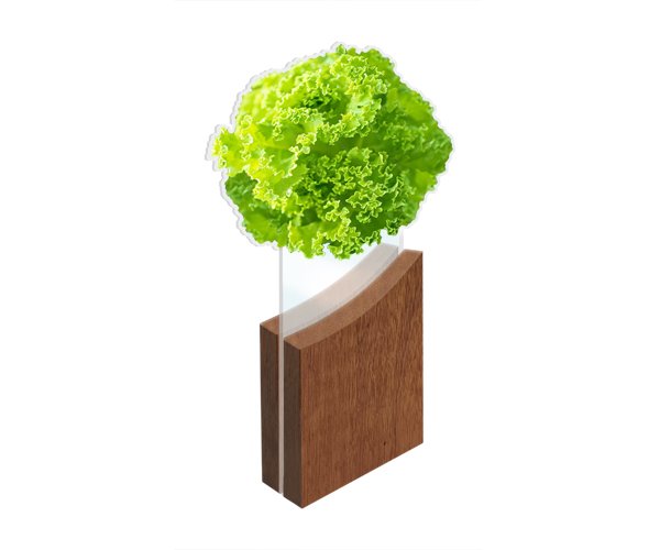 Troféu de acrílico alface