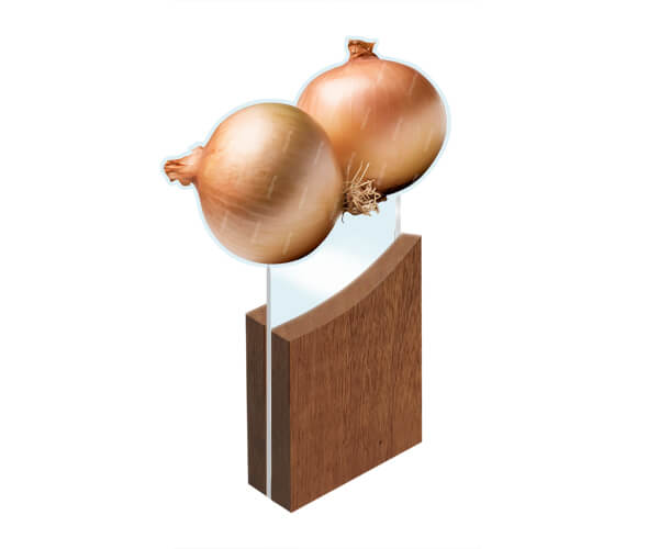 Troféu de acrílico cebola