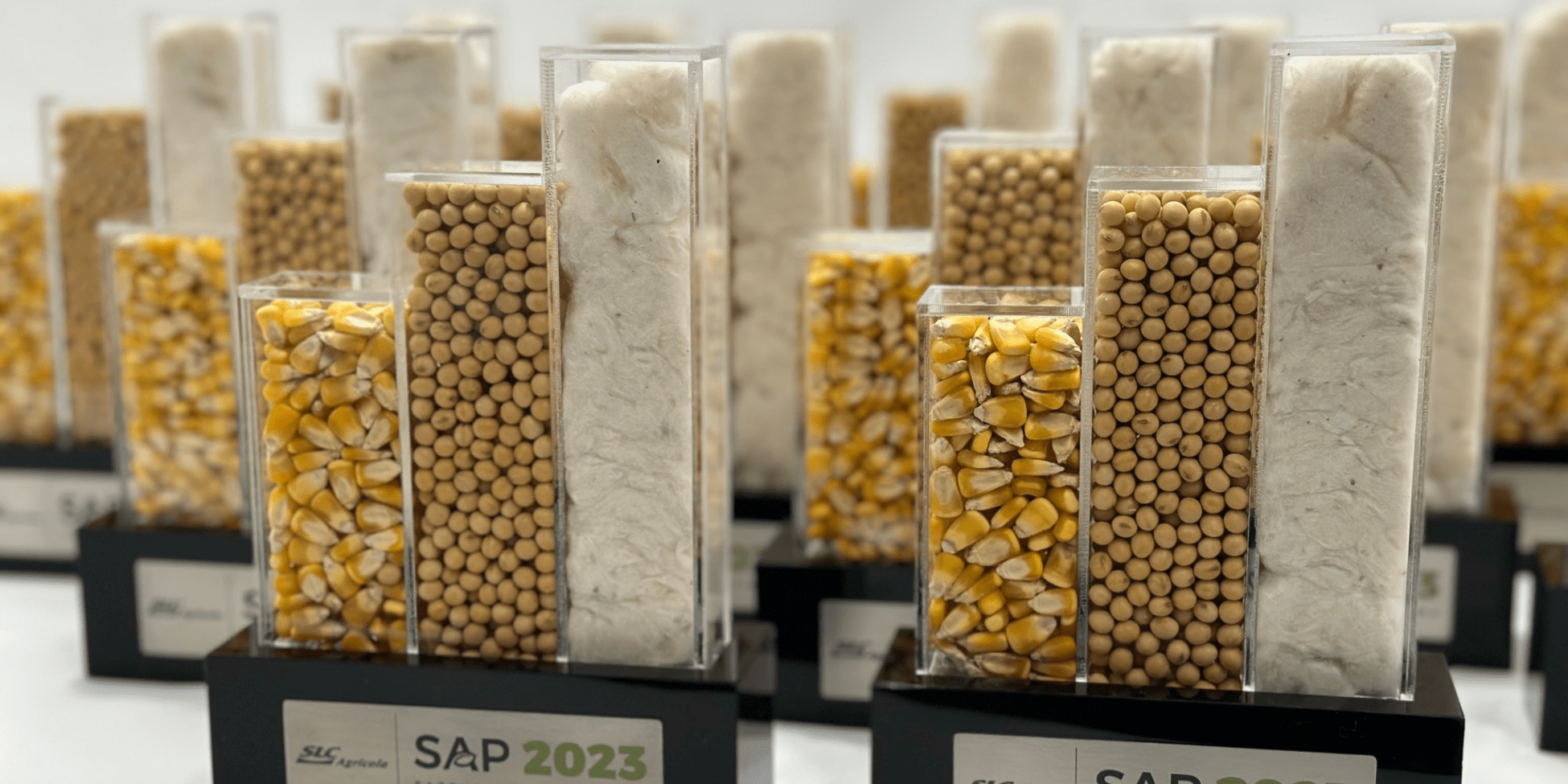 Troféus com encapsulados em acrílico: elegância e durabilidade