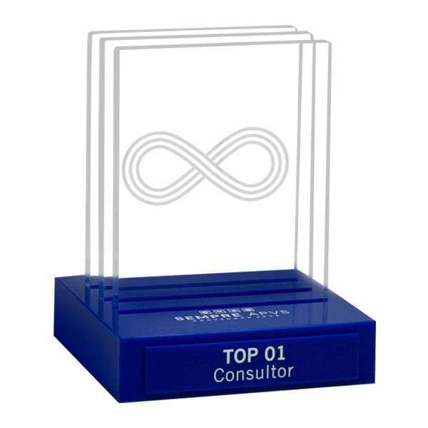 Troféu APVS Consultores Top 1