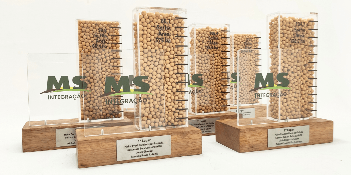 Troféus personalizados com encapsulados: significado e diferenciais