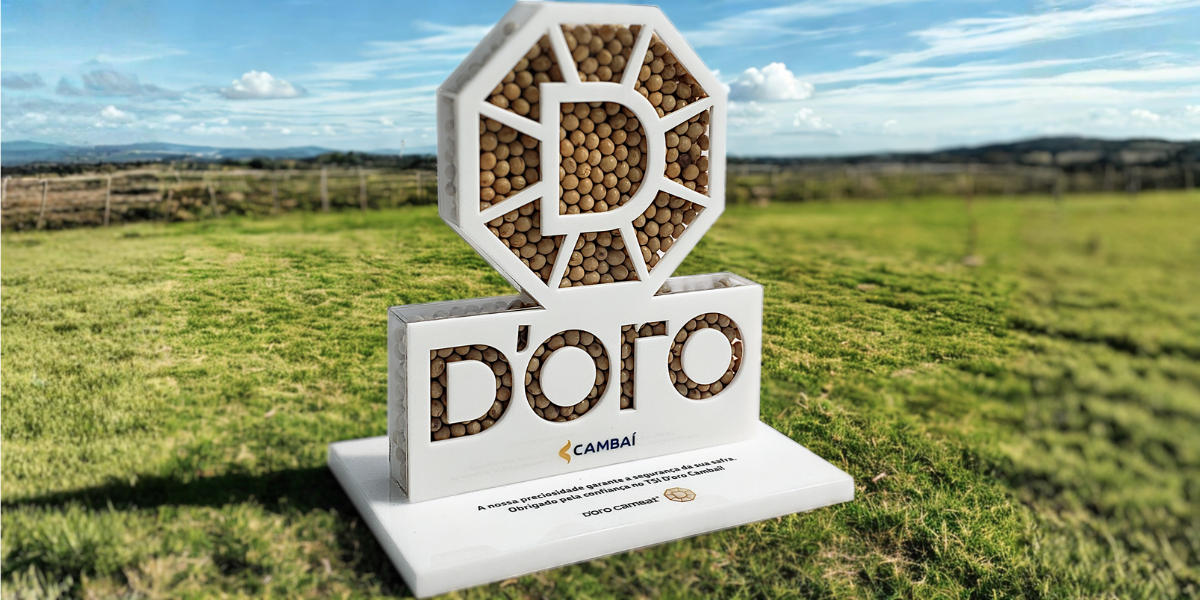 Premiar produtividade de safras no agro com troféus Anholeto