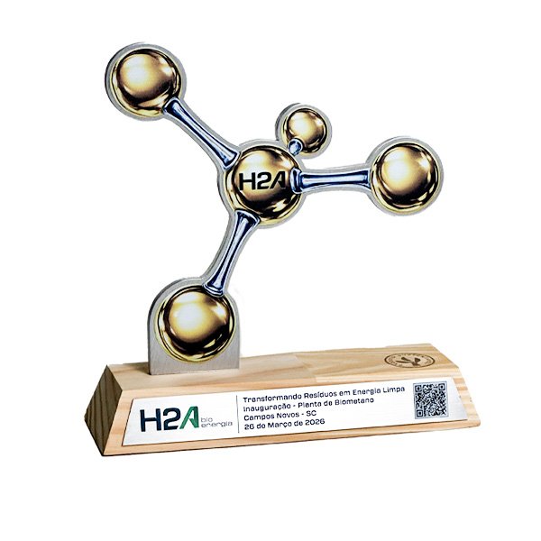 Troféu Campeões Regionais